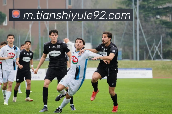 未来规划